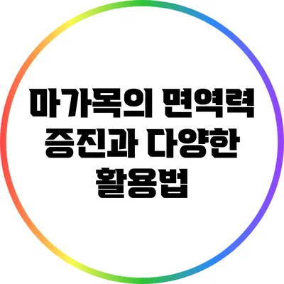 마가목의 면역력 증진과 다양한 활용법