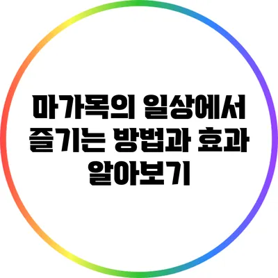 마가목의 일상에서 즐기는 방법과 효과 알아보기