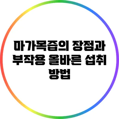 마가목즙의 장점과 부작용: 올바른 섭취 방법