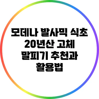 모데나 발사믹 식초: 20년산 고체 말피기 추천과 활용법