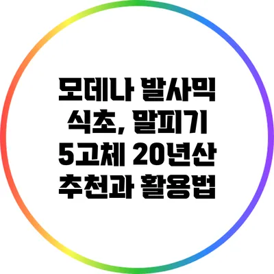 모데나 발사믹 식초, 말피기 5고체 20년산 추천과 활용법