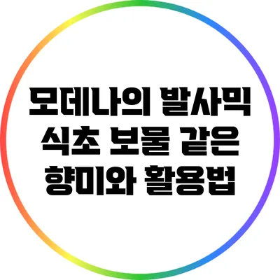 모데나의 발사믹 식초: 보물 같은 향미와 활용법
