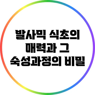 발사믹 식초의 매력과 그 숙성과정의 비밀