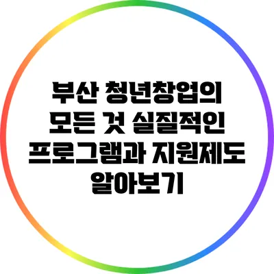 부산 청년창업의 모든 것: 실질적인 프로그램과 지원제도 알아보기