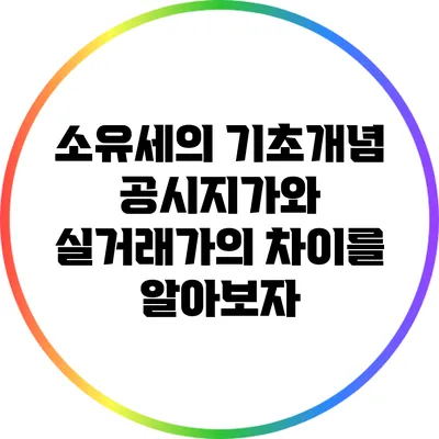 소유세의 기초개념: 공시지가와 실거래가의 차이를 알아보자