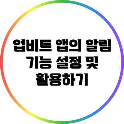 업비트 앱의 알림 기능 설정 및 활용하기