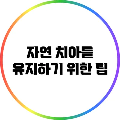 자연 치아를 유지하기 위한 팁