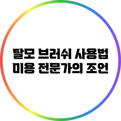 탈모 브러쉬 사용법: 미용 전문가의 조언