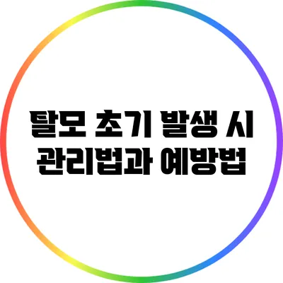 탈모 초기 발생 시 관리법과 예방법