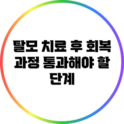 탈모 치료 후 회복 과정: 통과해야 할 단계