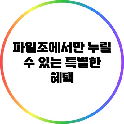 파일조에서만 누릴 수 있는 특별한 혜택