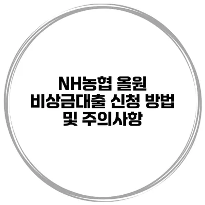 NH농협 올원 비상금대출 신청 방법 및 주의사항