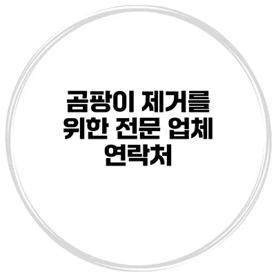 곰팡이 제거를 위한 전문 업체 연락처