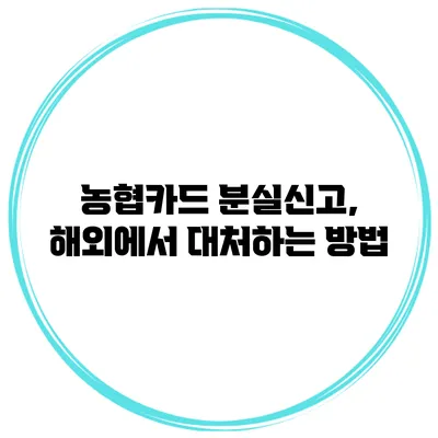 농협카드 분실신고, 해외에서 대처하는 방법