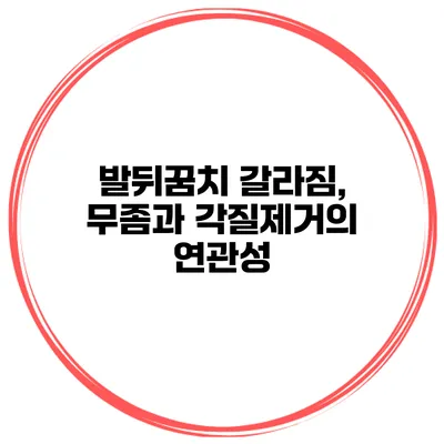 발뒤꿈치 갈라짐, 무좀과 각질제거의 연관성