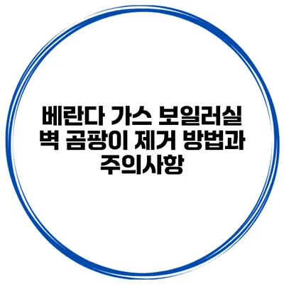 베란다 가스 보일러실 벽 곰팡이 제거 방법과 주의사항