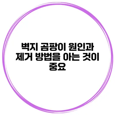 벽지 곰팡이 원인과 제거 방법을 아는 것이 중요