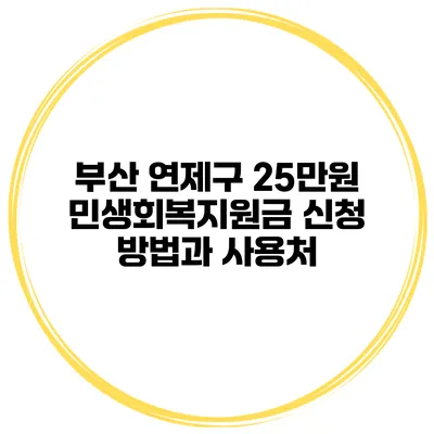부산 연제구 25만원 민생회복지원금 신청 방법과 사용처