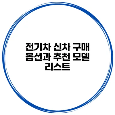 전기차 신차 구매 옵션과 추천 모델 리스트