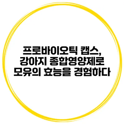 프로바이오틱 캡스, 강아지 종합영양제로 모유의 효능을 경험하다