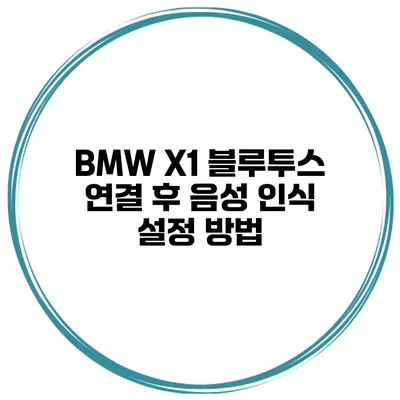 BMW X1 블루투스 연결 후 음성 인식 설정 방법