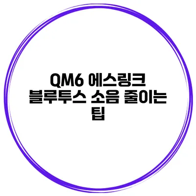 QM6 에스링크 블루투스 소음 줄이는 팁