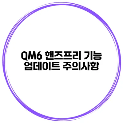 QM6 핸즈프리 기능 업데이트 주의사항