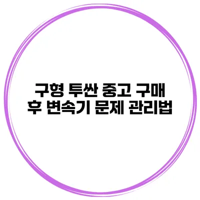 구형 투싼 중고 구매 후 변속기 문제 관리법