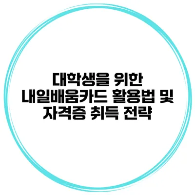 대학생을 위한 내일배움카드 활용법 및 자격증 취득 전략