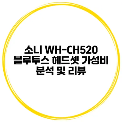 소니 WH-CH520 블루투스 헤드셋 가성비 분석 및 리뷰