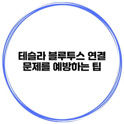 테슬라 블루투스 연결 문제를 예방하는 팁